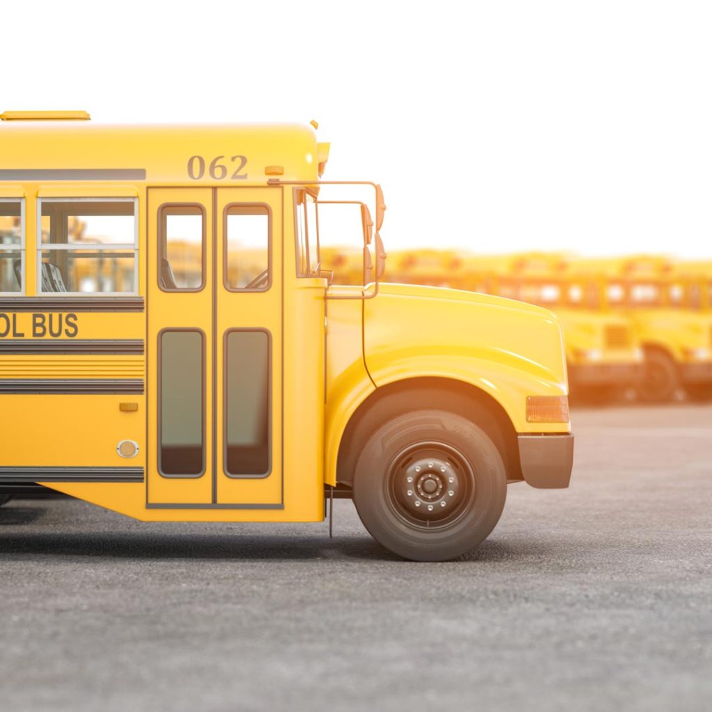 yellow school buses row